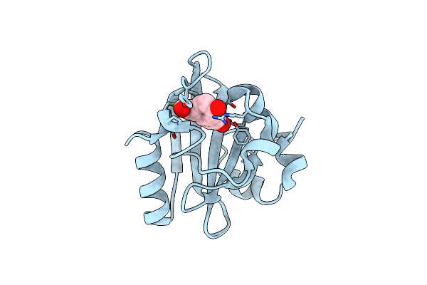 1TS6 image