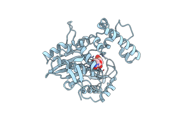 1TSX image