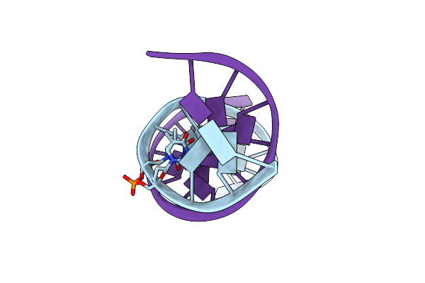 1TTD image
