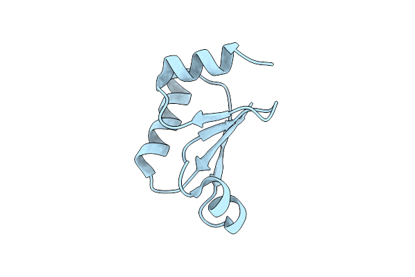1TTZ image
