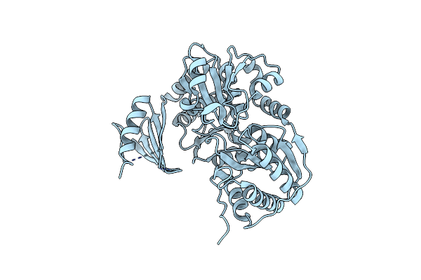 1TUO image