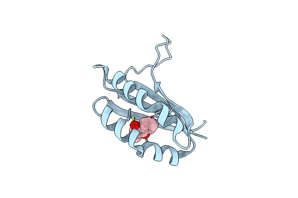 1TUV image