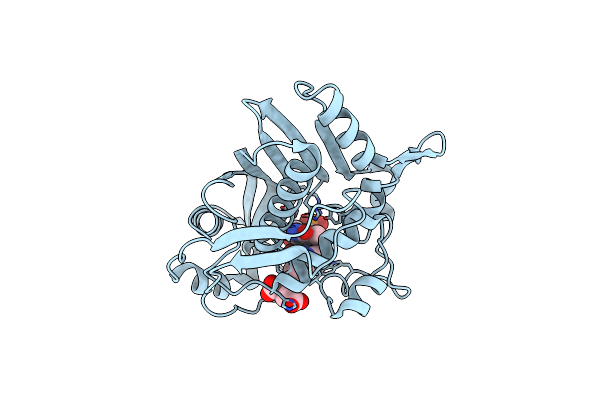 1TYS image