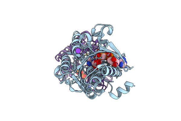 1TZ6 image