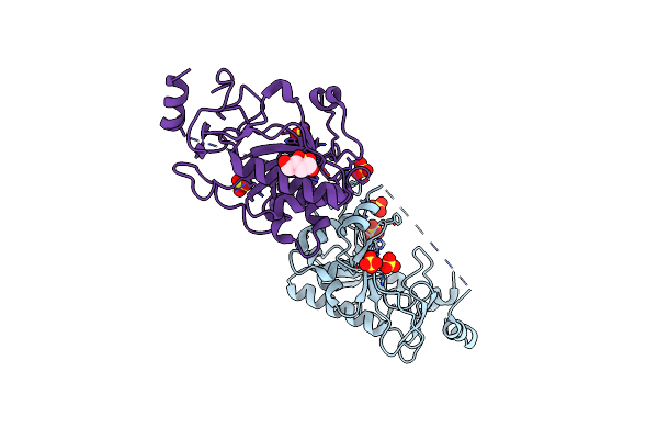 1TZP image