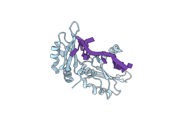 1U1K image