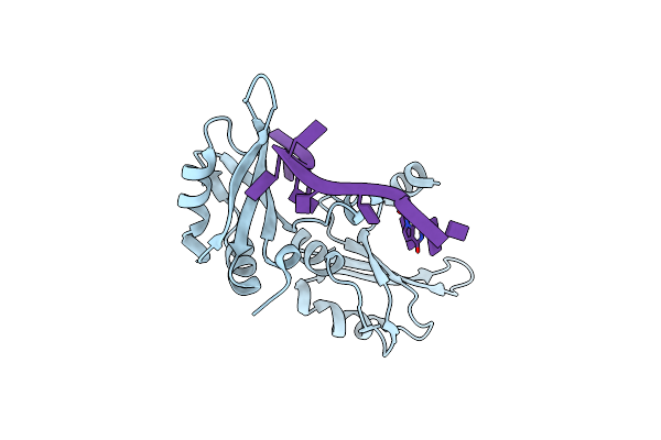 1U1M image
