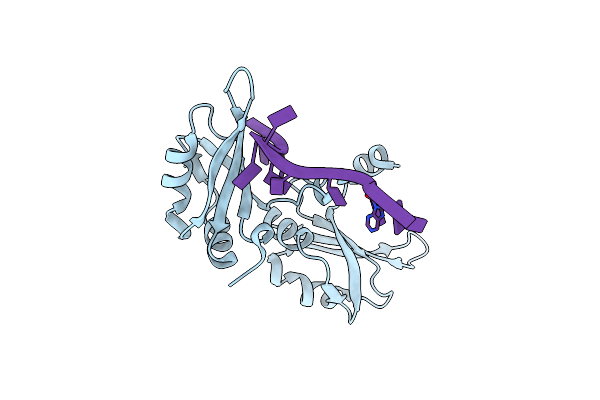 1U1N image