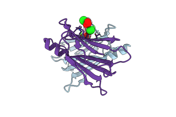 1U21 image