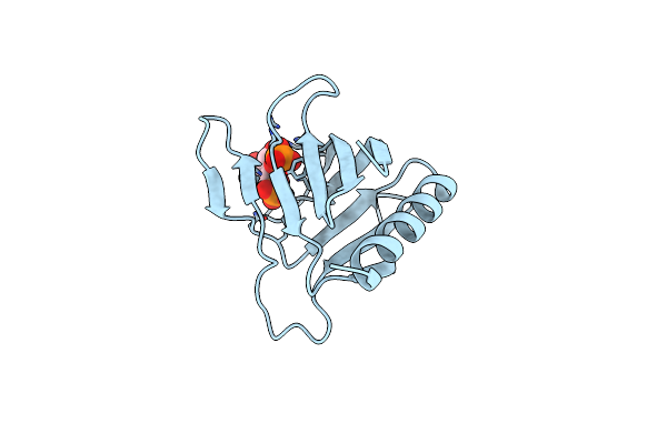 1U29 image