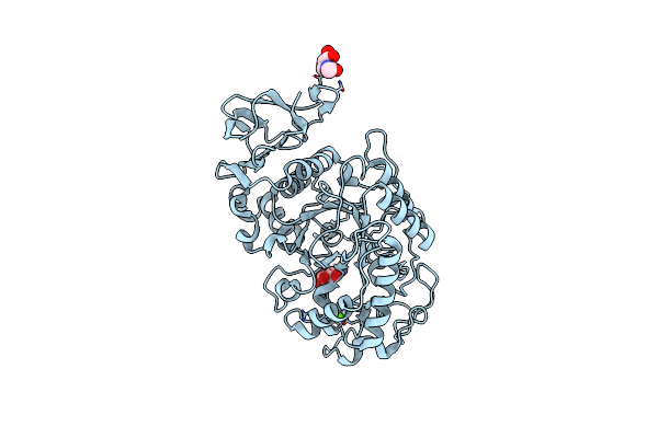 1U2Y image