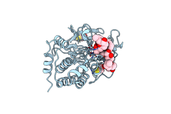 1U32 image