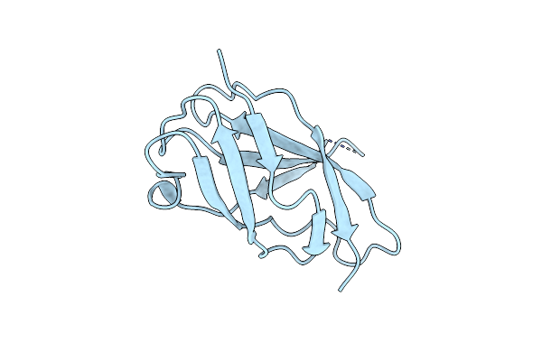 1U36 image