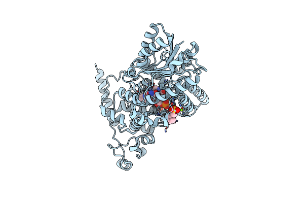 1U3D image