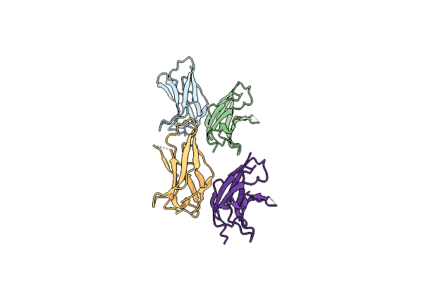 1U41 image