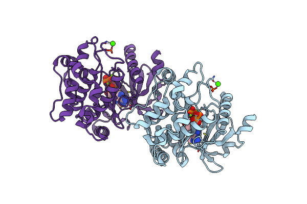 1U5R image