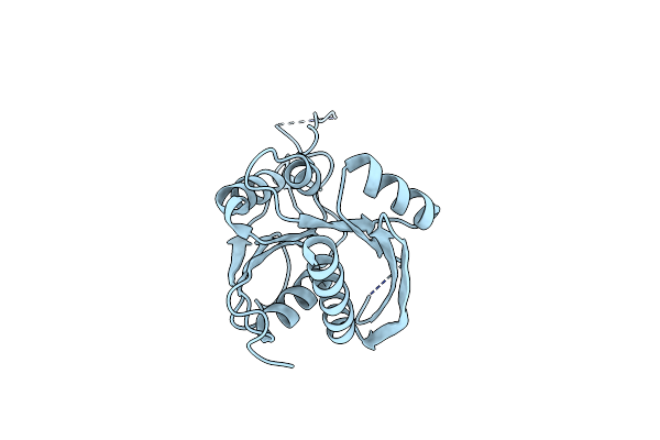 1U7U image