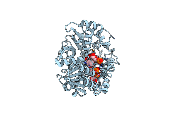 1U8X image