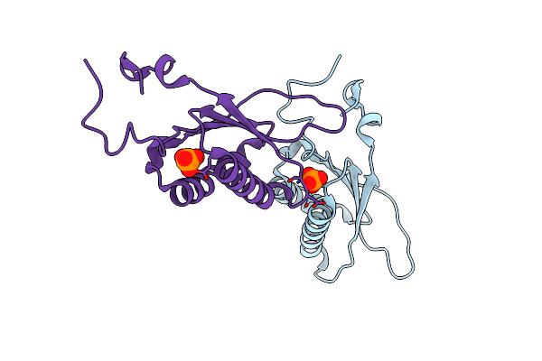 1U9D image
