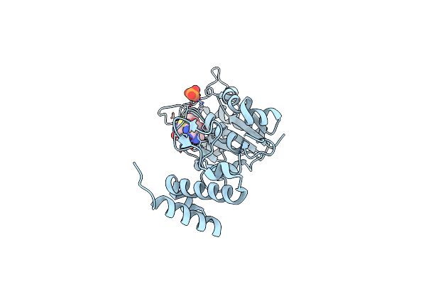 1UAM image