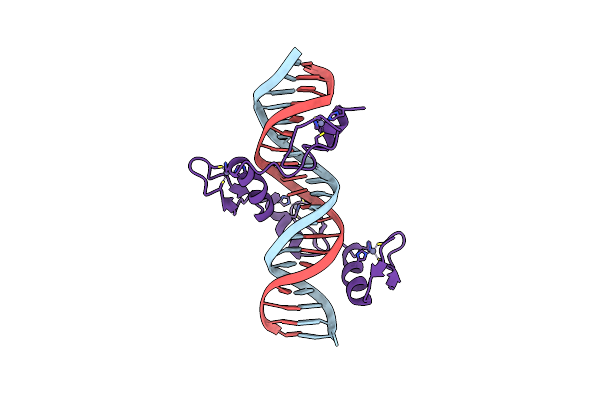 1UBD image