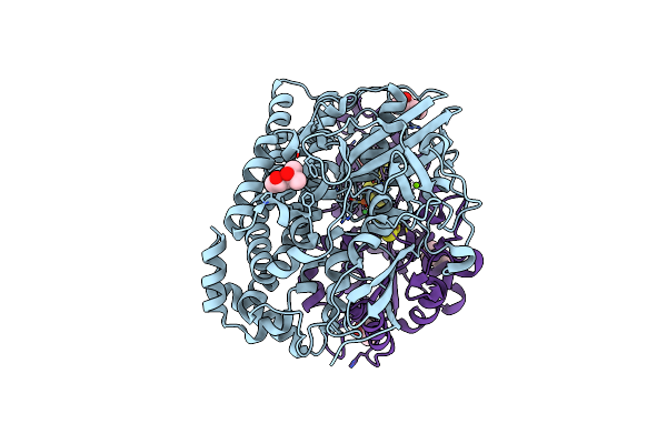 1UBM image