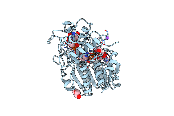 1UDB image