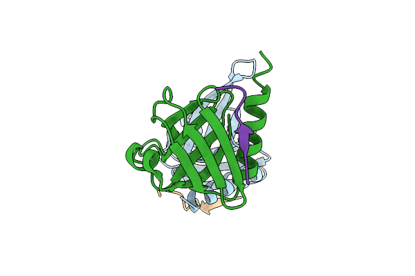1UEF image