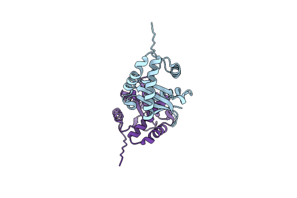 1UFH image