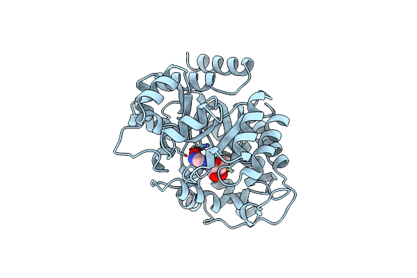 1UIO image