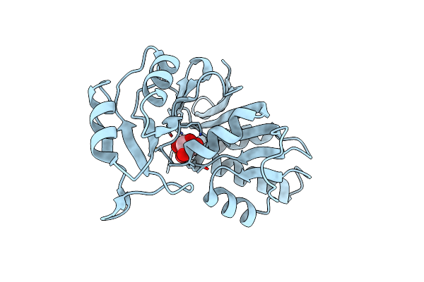 1UJ6 image