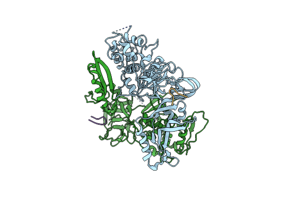 1UM2 image