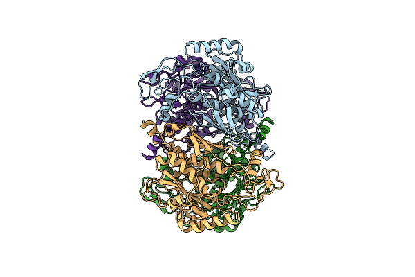 1UMF image