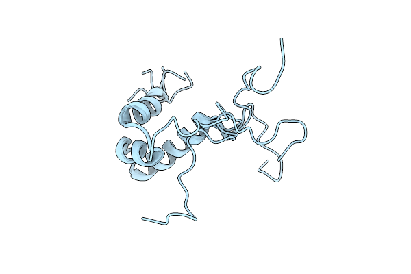 1UMQ image