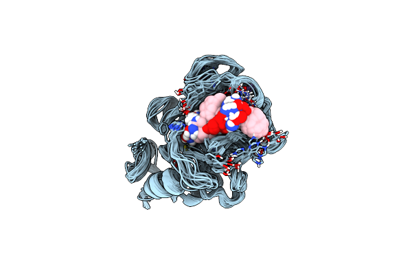 1UMS image