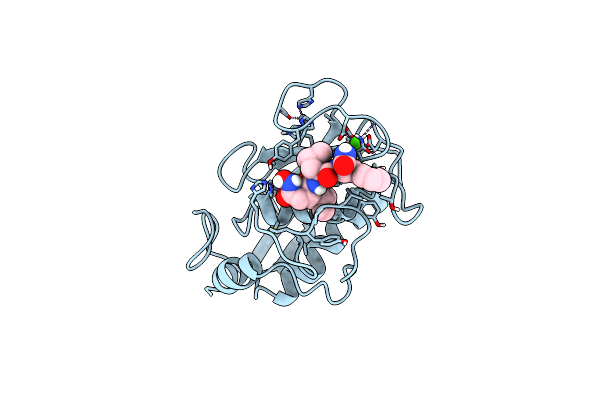 1UMT image
