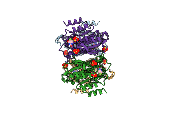 1UPF image
