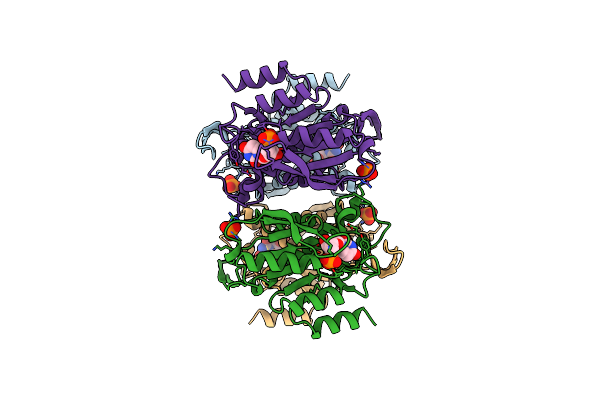 1UPU image
