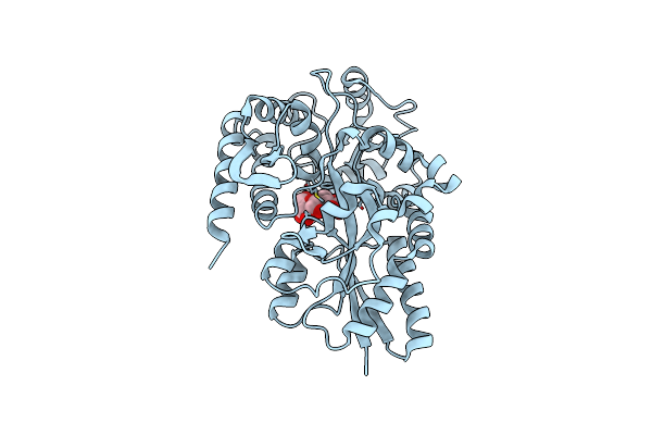 1URG image