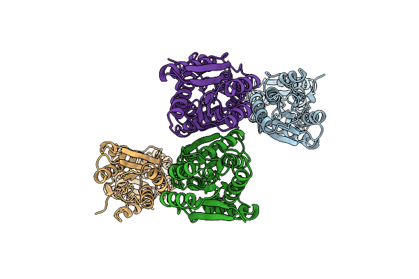1URP image
