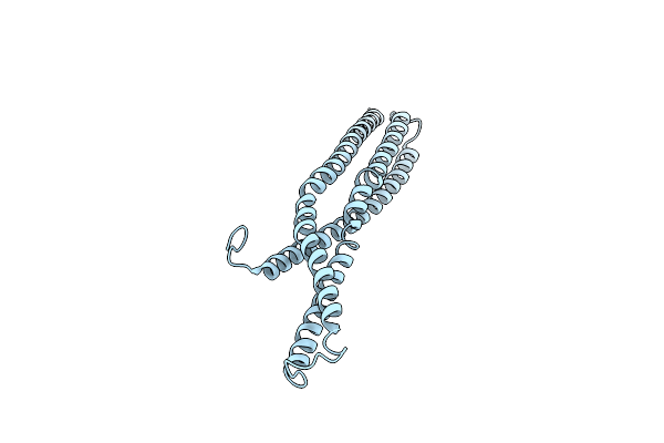 1URU image