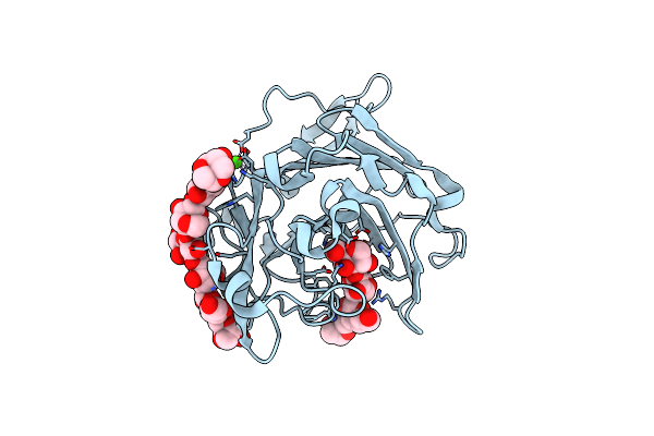 1URX image