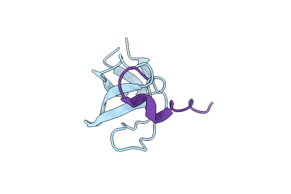 1UTI image