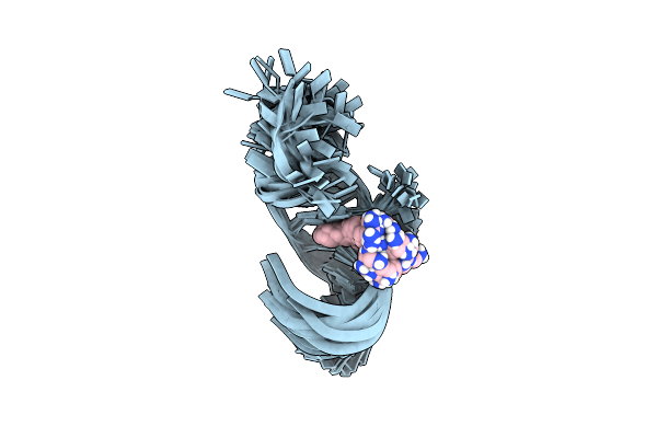 1UTS image