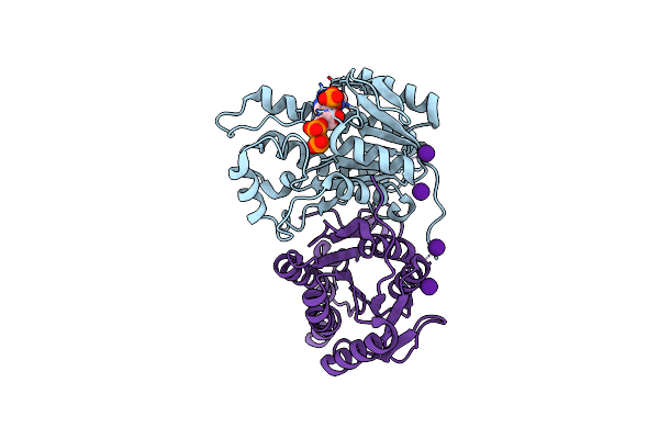 1UZN image