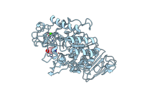 1VAH image