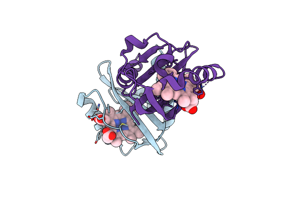 1VB6 image