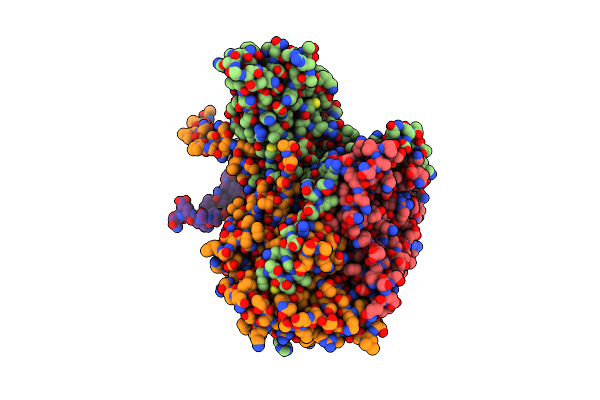 1VBC image