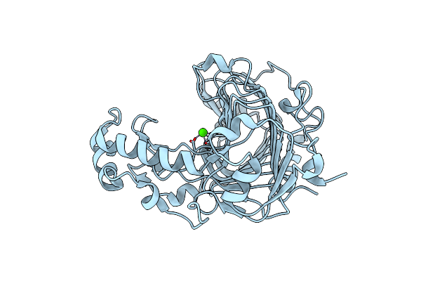 1VBL image