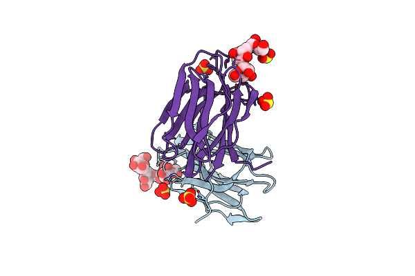 1VBP image